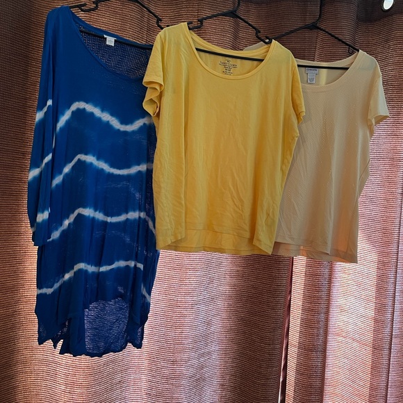 Lot of three women’s clothes.  Z energy Chico faded glory pet free smoke free - Picture 3 of 9